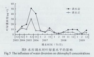 便宜的雷龍魚，雷龍魚養(yǎng)殖方法、注意事項(xiàng)以及如何提高養(yǎng)殖成功率 水族問答