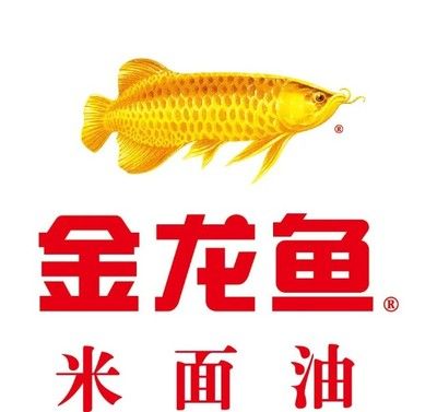 金龍魚貴州總代理 龍魚百科 第3張