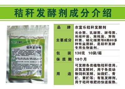 大型雷龍魚品種大全圖，大型雷龍魚品種有哪些？ 水族問答