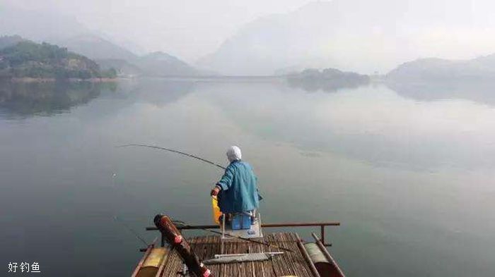 漳州龍魚繁殖方法有哪些品種，漳州龍魚繁殖方法有哪些品種？ 水族問答