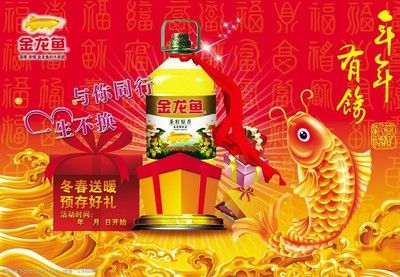 金龍魚價格為什么那么貴呢，金龍魚養(yǎng)殖技術(shù)