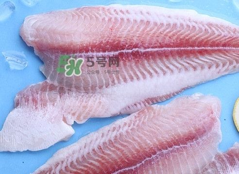 龍魚(yú)是海魚(yú)嗎 龍魚(yú)百科 第1張