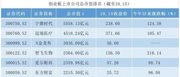 金龍魚今日收盤價(jià)格，金龍魚股價(jià)下跌0.95%