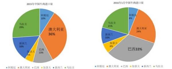 巴西鯛魚苗市場需求趨勢，巴西鯛魚苗養(yǎng)殖技術(shù)要點(diǎn) 觀賞魚市場（混養(yǎng)魚） 第1張