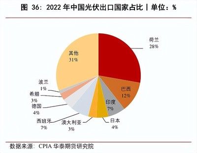 巴西鯛魚苗市場需求趨勢，巴西鯛魚苗養(yǎng)殖技術(shù)要點(diǎn) 觀賞魚市場（混養(yǎng)魚） 第5張