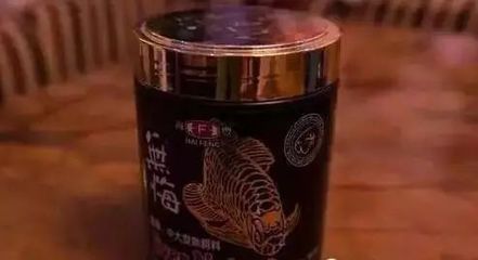 龍魚口糧，龍魚專用凍干糧品牌推薦，龍魚口糧中蛋白質(zhì)來源，如何自制龍魚健康口糧