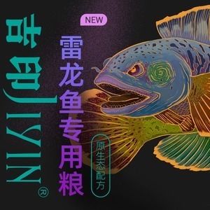 雷龍魚幼魚專用飼料推薦，如何判斷雷龍魚幼魚飼料質(zhì)量 觀賞魚市場（混養(yǎng)魚） 第5張