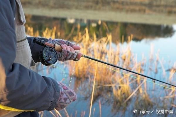 自制魚苗餌料的保存方法，自制魚苗餌料保存常見誤區(qū)，魚苗餌料保存常見誤區(qū)