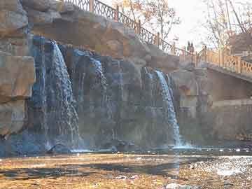 翡翠鳳凰魚適宜水溫范圍，翡翠鳳凰魚適宜在24-26℃的水溫環(huán)境中生存 觀賞魚市場(chǎng)（混養(yǎng)魚） 第3張