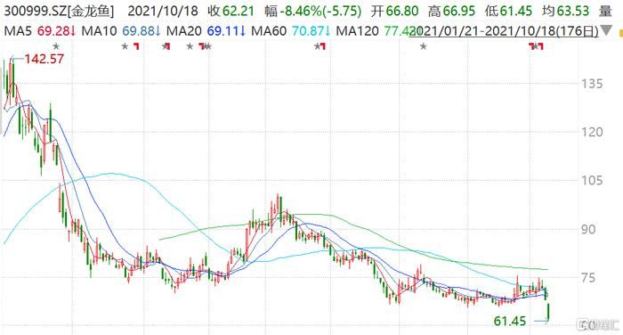 金龍魚今日股價(jià)是多少錢，金龍魚今日股價(jià)是多少錢今日股價(jià)是多少錢 龍魚百科 第5張