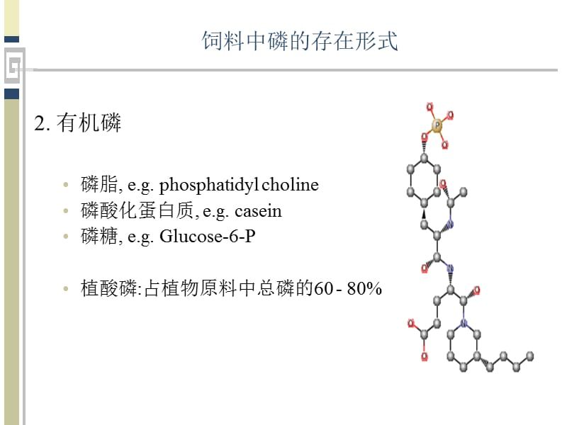 雪龍魚飼料中蛋白質(zhì)來源，雪龍魚飼料中的蛋白質(zhì)主要來源于什么？ 觀賞魚市場（混養(yǎng)魚） 第2張