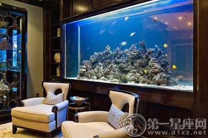 客廳西南方位擺放魚缸的好處，客廳西南方位擺放魚缸具有風(fēng)水上的好處