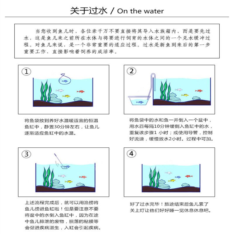 丹頂錦鯉換水后觀察要點(diǎn)，換水后需要觀察的幾個(gè)要點(diǎn) 觀賞魚市場(chǎng)（混養(yǎng)魚） 第4張