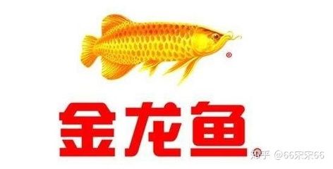 金龍魚未來股價，金龍魚股價受到多方面因素影響 龍魚百科 第4張