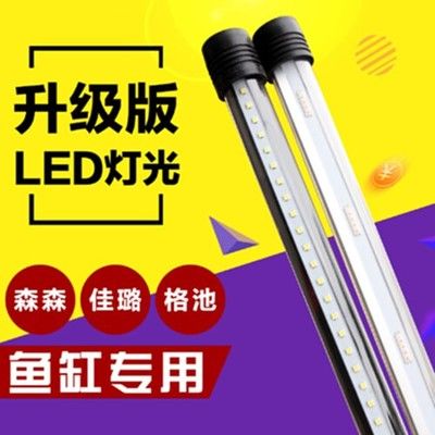 龍魚燈管好還是led燈好呢，龍魚燈管和led燈各有優(yōu)劣 龍魚百科 第4張