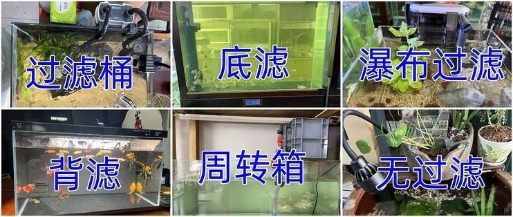 如何選擇合適的魚缸過濾器，選擇合適的魚缸過濾器是確保水質(zhì)清潔和魚兒健康的關(guān)鍵