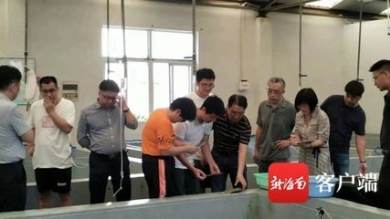 銀古魚苗日常健康管理，銀古魚苗日常健康管理至關(guān)重要以確保其健康成長(zhǎng) 觀賞魚市場(chǎng)（混養(yǎng)魚） 第5張