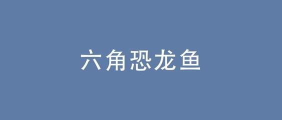 恐龍魚不吃食物怎么回事，恐龍魚不吃東西的原因及解決方案 龍魚百科 第4張