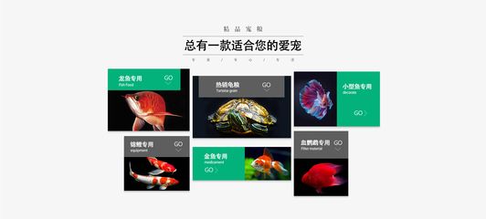 龍魚商城網(wǎng)站登錄，龍魚商城app使用教程：龍魚商城app使用教程 龍魚百科 第3張