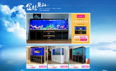 龍魚商城網(wǎng)站登錄，龍魚商城app使用教程：龍魚商城app使用教程 龍魚百科 第2張