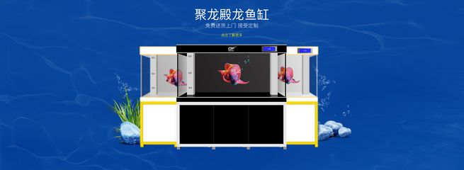 龍魚商城網(wǎng)站登錄，龍魚商城app使用教程：龍魚商城app使用教程 龍魚百科 第4張