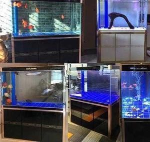 龍魚專用缸排名第一，森森、閩江水族和漢霸這三個品牌在龍魚專用缸排名第一