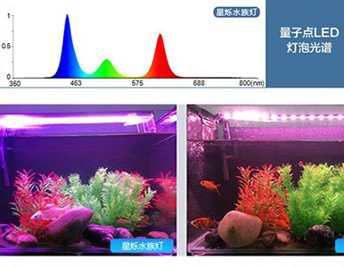 水族燈定期更換周期建議，水族燈多久更換一次比較好 觀賞魚市場（混養(yǎng)魚） 第2張