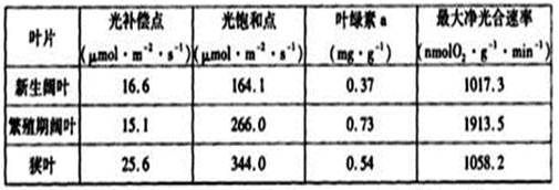 繁殖期飼料新鮮度檢測方法，繁殖期飼料新鮮度檢測方法：畜禽肉新鮮度檢測方法