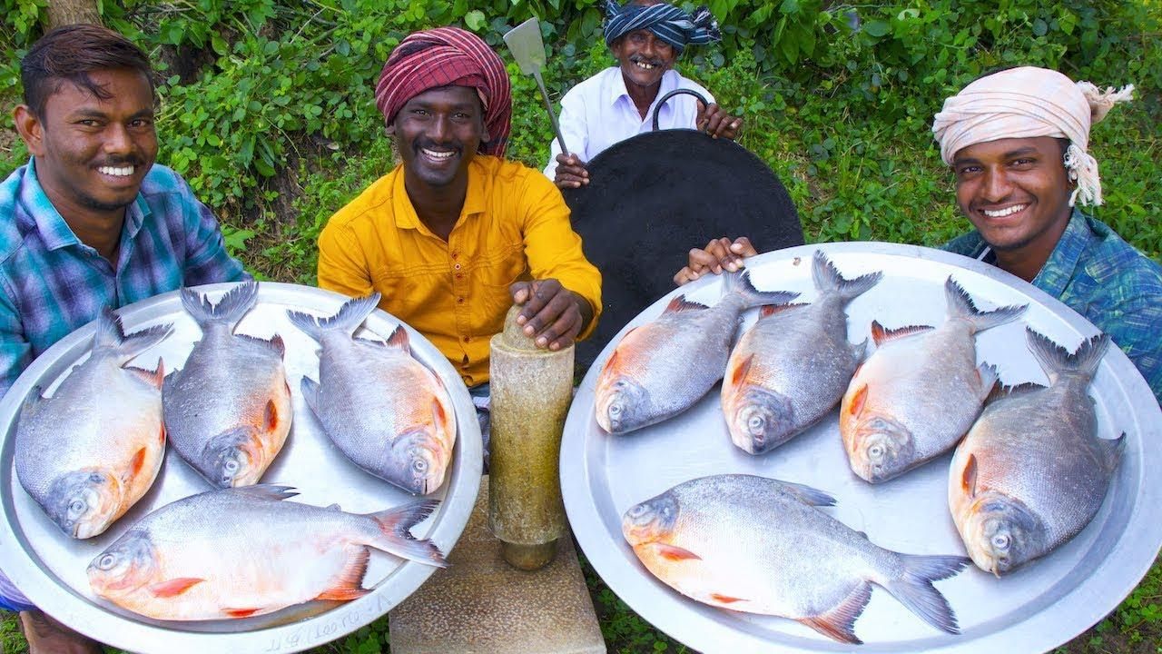 埃及魚(yú)適宜水溫范圍，埃及神仙魚(yú)最佳養(yǎng)殖水溫