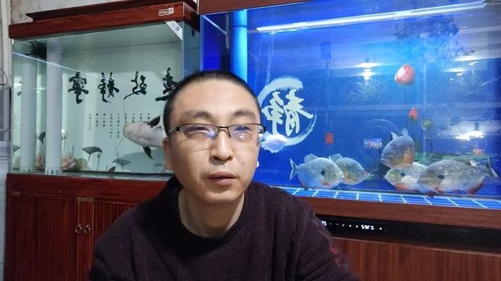 觀賞魚混養(yǎng)常見問題，如何選擇混養(yǎng)觀賞魚種類 觀賞魚市場（混養(yǎng)魚） 第4張