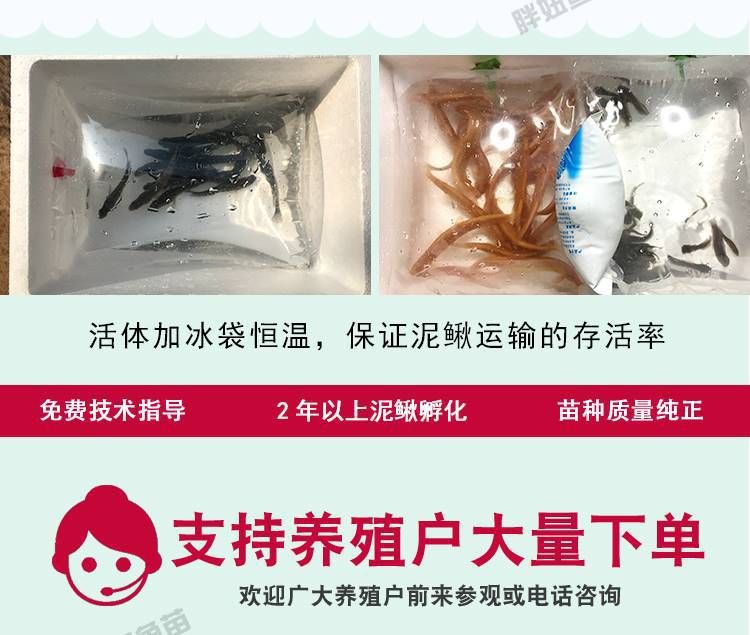 龍魚耐活嗎，龍魚壽命受到多種因素的影響