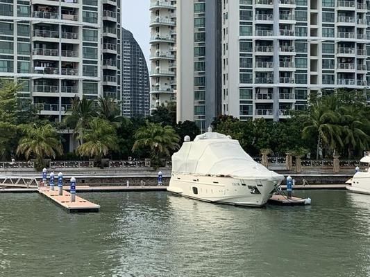 全球防鯊措施對比，全球范圍內(nèi)實施的防鯊措施 觀賞魚市場（混養(yǎng)魚） 第5張