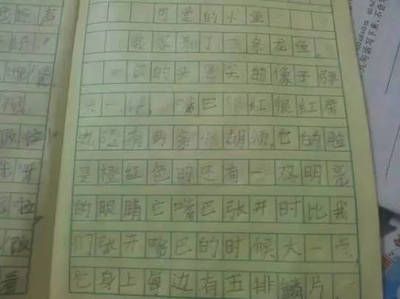 龍魚作文500，外語:龍魚作文 龍魚百科 第3張