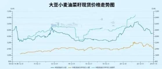 金龍魚價格走勢分析圖，分析金龍魚價格走勢 龍魚百科 第4張