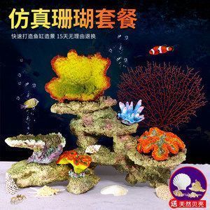 孔雀魚可以喂龍魚嗎，孔雀魚和龍魚在飲食上有什么區(qū)別？ 龍魚百科 第4張