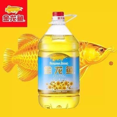 金龍魚老沉缸底什么原因，金龍魚老是沉在缸底可能由多種原因引起金龍魚沉底現(xiàn)象 龍魚百科 第5張