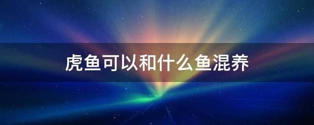 飛鳳魚最佳飼養(yǎng)環(huán)境，飛鳳魚混養(yǎng)注意事項飛鳳魚水質(zhì)管理技巧 觀賞魚市場（混養(yǎng)魚） 第3張