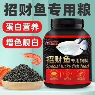 招財(cái)戰(zhàn)船魚最佳飼料配方，招財(cái)戰(zhàn)船魚的最佳飼料配方 觀賞魚市場（混養(yǎng)魚） 第2張