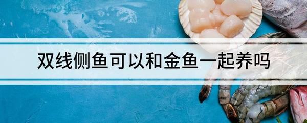 雙線側(cè)魚品種鑒別方法，雙線側(cè)魚品種的常見誤區(qū)，鑒別雙線側(cè)魚品種的常見誤區(qū) 觀賞魚市場（混養(yǎng)魚） 第4張