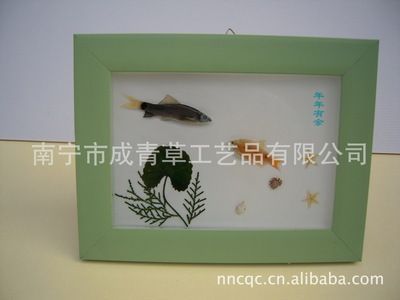 福滿(mǎn)鉆魚(yú)動(dòng)態(tài)觀賞技巧，福滿(mǎn)鉆魚(yú)動(dòng)態(tài)觀賞技巧，福滿(mǎn)鉆魚(yú)日常飲食指南 觀賞魚(yú)市場(chǎng)（混養(yǎng)魚(yú)） 第4張