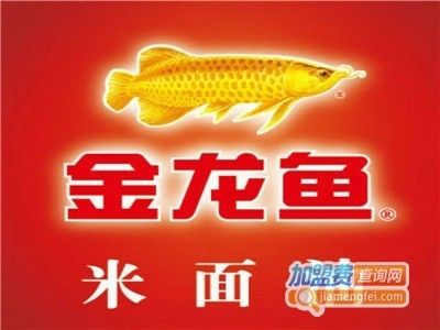 金龍魚加盟電話多少，金龍魚加盟條件詳解金龍魚加盟費用查詢條件詳解 龍魚百科 第2張