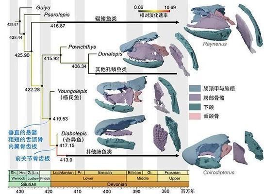 蘭州金龍魚銷售有限公司招聘，蘭州金龍魚銷售有限公司招聘流程 水族問答