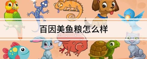 金龍魚(yú)2021年三季報(bào)，金龍魚(yú)2021年三季度營(yíng)收同比增長(zhǎng)13.7% 水族問(wèn)答