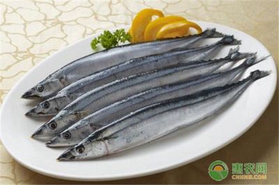 秋刀魚的營養(yǎng)價(jià)值，秋刀魚與其他魚類比較,秋刀魚的保存方法與選購技巧