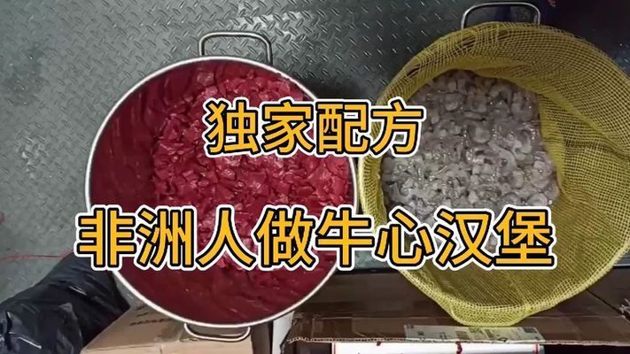 七彩神仙魚飼料自制漢堡食譜，七彩神仙魚飼料保存方法 觀賞魚市場（混養(yǎng)魚） 第3張