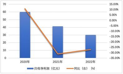 金龍魚歷年財(cái)報(bào)分析，金龍魚2018年財(cái)報(bào)分析 龍魚百科 第5張