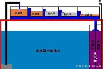 龍魚濾材擺放位置圖，龍魚濾材擺放位置圖是一份詳細(xì)的指導(dǎo)文檔