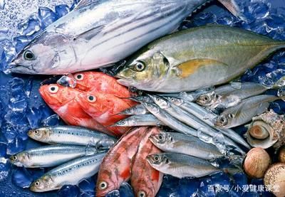 不同魚類的食物選擇指南，不同魚類的食物選擇指南，旨在為魚類養(yǎng)殖者和研究人員提供科學(xué)指導(dǎo) 觀賞魚市場（混養(yǎng)魚） 第2張