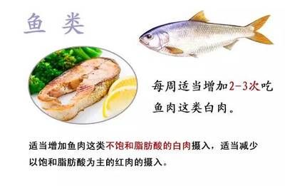 不同魚類的食物選擇指南，不同魚類的食物選擇指南，旨在為魚類養(yǎng)殖者和研究人員提供科學(xué)指導(dǎo) 觀賞魚市場（混養(yǎng)魚） 第3張