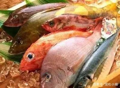 不同魚類的食物選擇指南，不同魚類的食物選擇指南，旨在為魚類養(yǎng)殖者和研究人員提供科學(xué)指導(dǎo) 觀賞魚市場（混養(yǎng)魚） 第5張